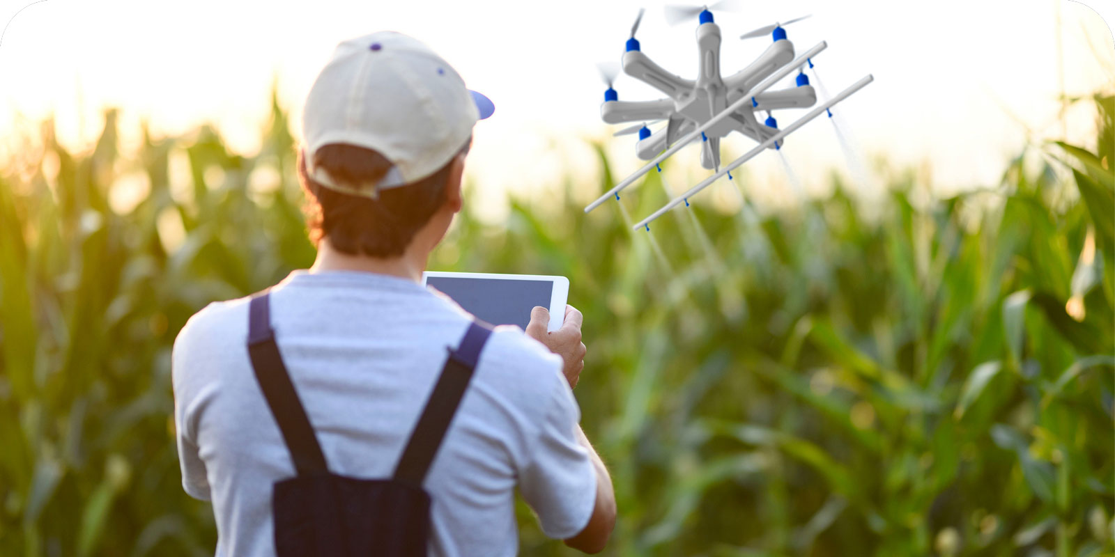 Sustainable Agriculture